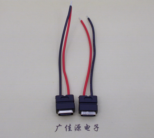 吉林type c2p防水母座焊线式带线注塑成型带接线端子/不带接线端子充电连接器